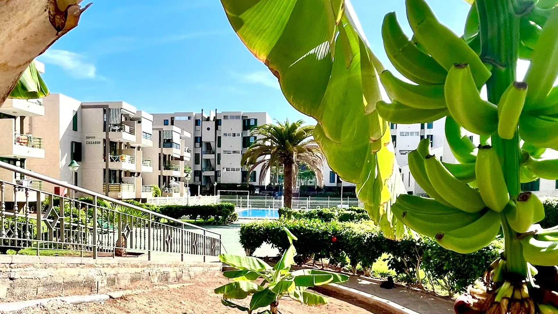 Las Vinas Apartment Playa de las Americas  Playa de las Americas (Tenerife)