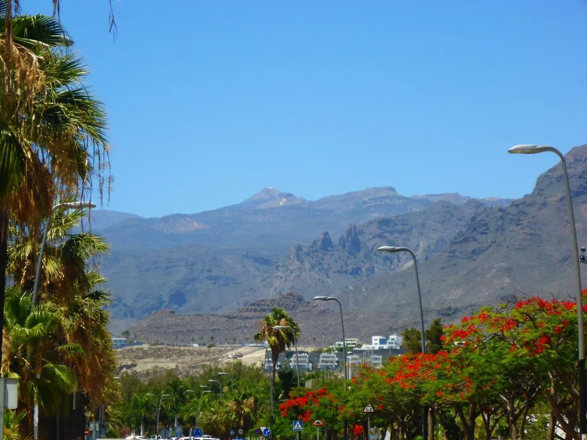 Las Vinas Apartment Playa de las Americas  Spain